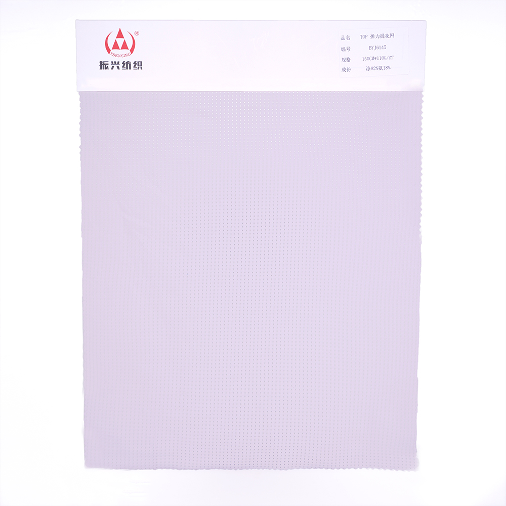 Nylon Spandex  Fabric (4)BYJ6145